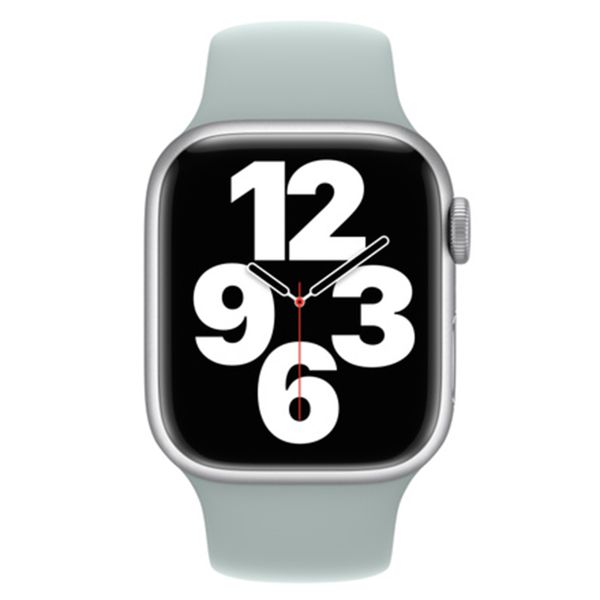 Apple Bracelet Sport Apple Watch | 38/40/41/42 mm - Taille S/M/L - Succulent
