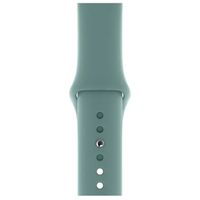 Apple Bracelet Sport Apple Watch | 44/45/46/49 mm - Cactus