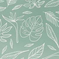 imoshion Coque Design Samsung Galaxy S25 Edge - Leaves Line-Art