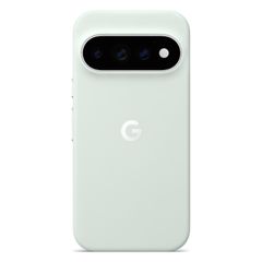 Google Coque Pixelsnap Magnetic Google Pixel 11 Pro - Fog