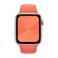 Apple Bracelet Sport Apple Watch | 38/40/41/42 mm - Taille S/M - Clementine