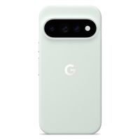 Google Coque Pixelsnap Magnetic Google Pixel 11 Pro - Fog