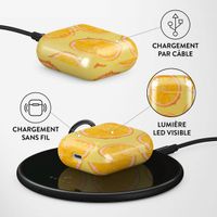 Burga Coque rigide Apple AirPods 1 / 2 - Bitter