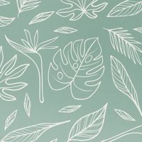 imoshion Coque Design Samsung Galaxy S22 - Leaves Line-Art