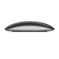Apple Magic Mouse - Souris sans fil avec surface Multi-Touch - USB-C - Noir