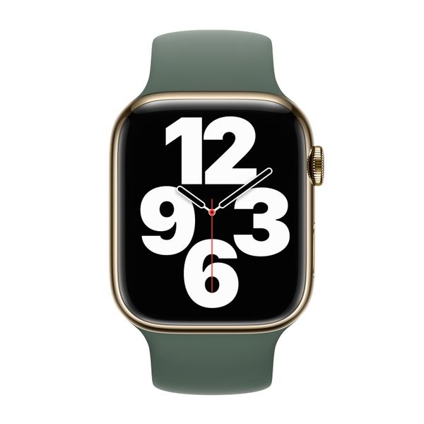 Apple Bracelet Boucle unique en Silicone Apple Watch | 38/40/41/42 mm - Taille 1 - Eucalyptus