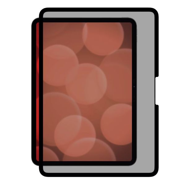 Displex Protection d'écran Privacy en verre trempé Apple iPad Pro 11 (2025) M5 / (2024) M4