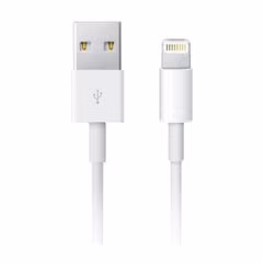 Apple Câble Lightning vers USB-A - 2 mètres - White