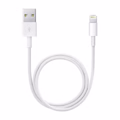 Apple Câble Lightning vers USB-A - 0,5 mètre - Blanc